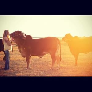 Meet your Posher, Haley